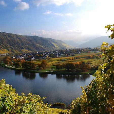 York Cottage Traben-Trarbach Εξωτερικό φωτογραφία